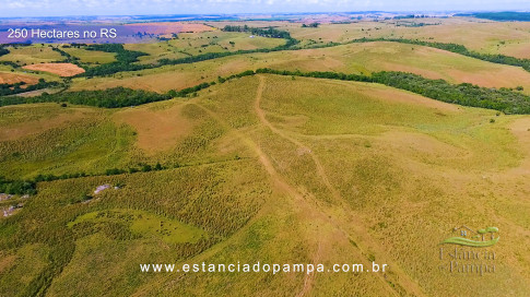 Gilberto Monteiro - Pra ti guria [VDownloader].00_01_33_22.Quadro021_943534908fe84bcf714eb4a9c6d3d2d0096b97b1.jpg